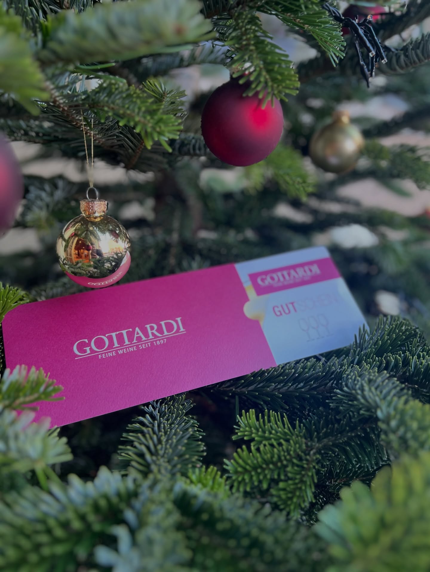Für die Menschen, die schon alles haben – außer vielleicht guten Wein. 😉🍷
Unsere Gutscheine (Betrag frei wählbar) können in der Vinothek für Weine, Spezialitäten und private Weinverkostungen eingelöst werden. Weihnachtsfreude? Garantiert. ✨

#weinliebe #geschenkideen #gottardi #gottardifeineweine #winetime #winelover #weintipps #winelover #christmasmood #weihnachten