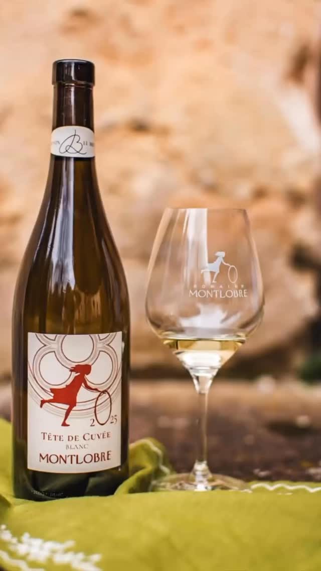 If you know, you know.
Leicht, frisch, unkompliziert – der Tête de Cuvée Blanc 2025. ✨

#innsbruck #gottardi #weinliebe #gottardi #gottardifeineweine