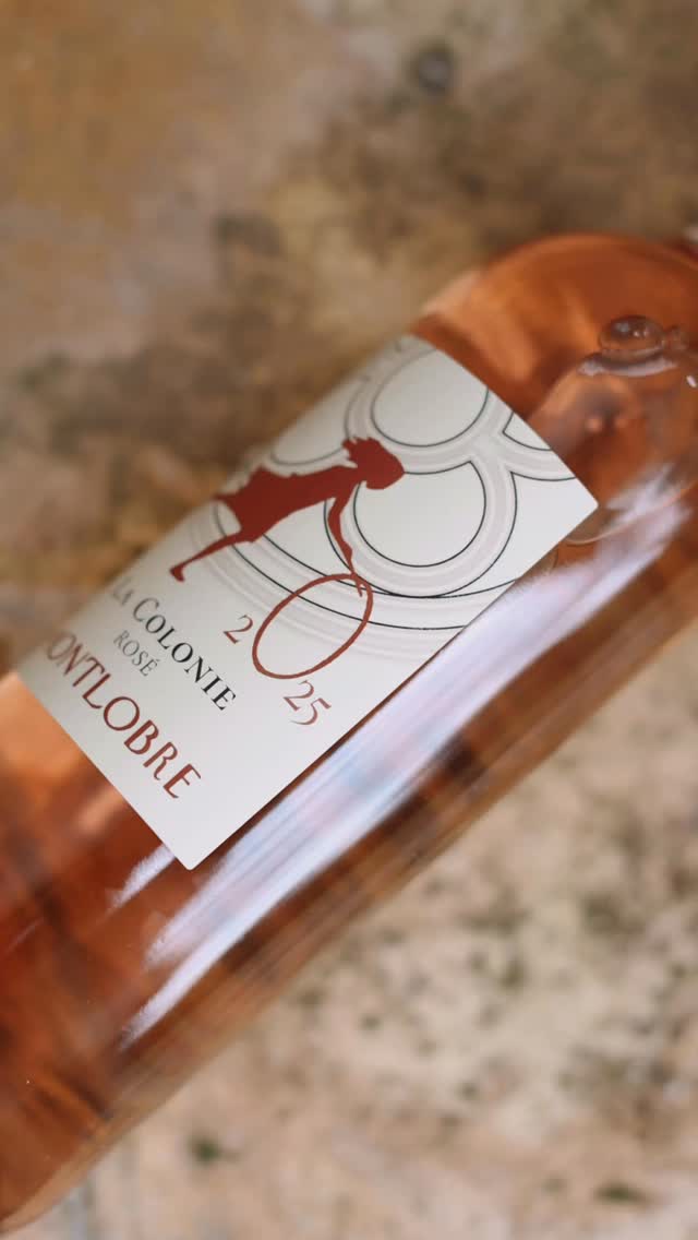 Manchmal braucht es nicht viel. Ein Glas Rosé, ein warmer Abend und gute Gesellschaft.✨

Der neue Jahrgang Rosé La Colonie von der Domaine Montlobre ist wieder da – leicht, frisch und genau richtig für diese Jahreszeit.
Für lange Abende, offene Gespräche und die kleinen Momente zwischendurch.

📍 Weinhandlung Gottardi, Innsbruck

#rosé #innsbruck #gottardi #weinliebe #gottardi gottardifeineweine