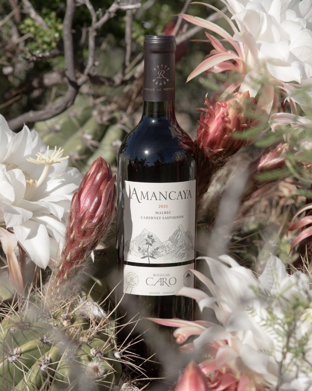 Amancaya 2021 🍷  Intensive dunkle Früchte, feine Würze und ein seidiger Abgang machen diesen argentinischen Rotwein zum idealen Begleiter für Grillabende, Steak oder einfach einen besonderen Moment. ✨

📸 DBR

#innsbruck #gottardi #weinliebe #gottardi #gottardifeineweine