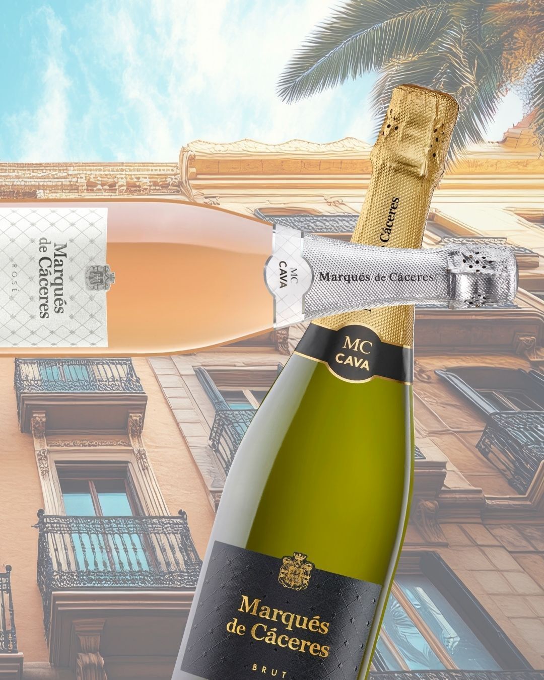 Barcelona-Flair für zuhause 🌴🥂
Zwei Cavas, ein Gefühl: der klassische Brut und die verführerische Rosé-Variante von Marqués de Cáceres bringen spanisches Savoir-vivre direkt auf euren Tisch. 

📍 Bei uns im Regal – schnappt euch eure Flasche!
