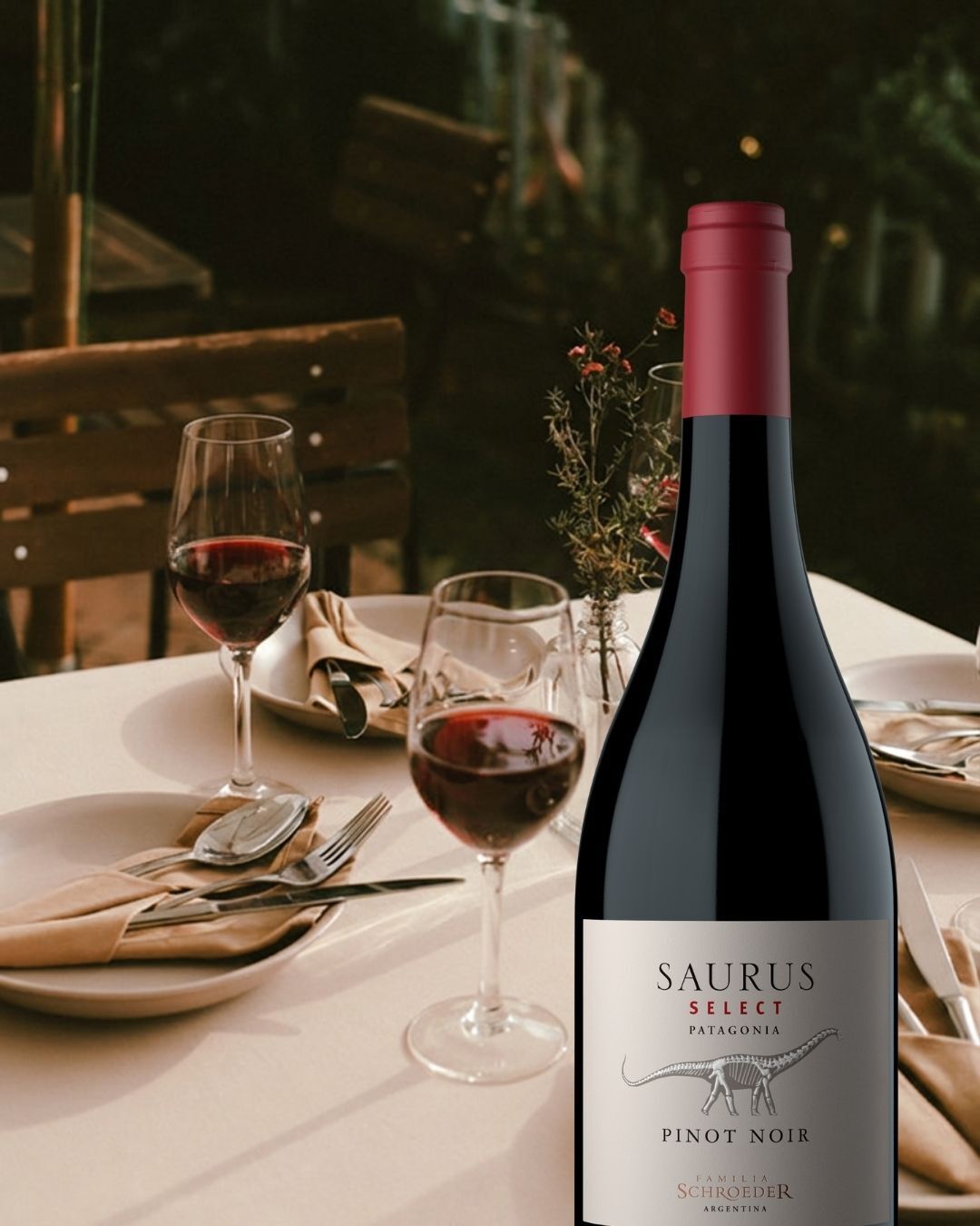 Samtig, fruchtig, mit einer feinen würzigen Note im Abgang – der Saurus Select Pinot Noir aus Patagonien ist ein Wein, der einfach Lust auf mehr macht. 🍷

Perfekt für einen entspannten Abend zu zweit, zu gutem Essen oder einfach so. 

#gottardi #weinliebe #gottardifeineweine