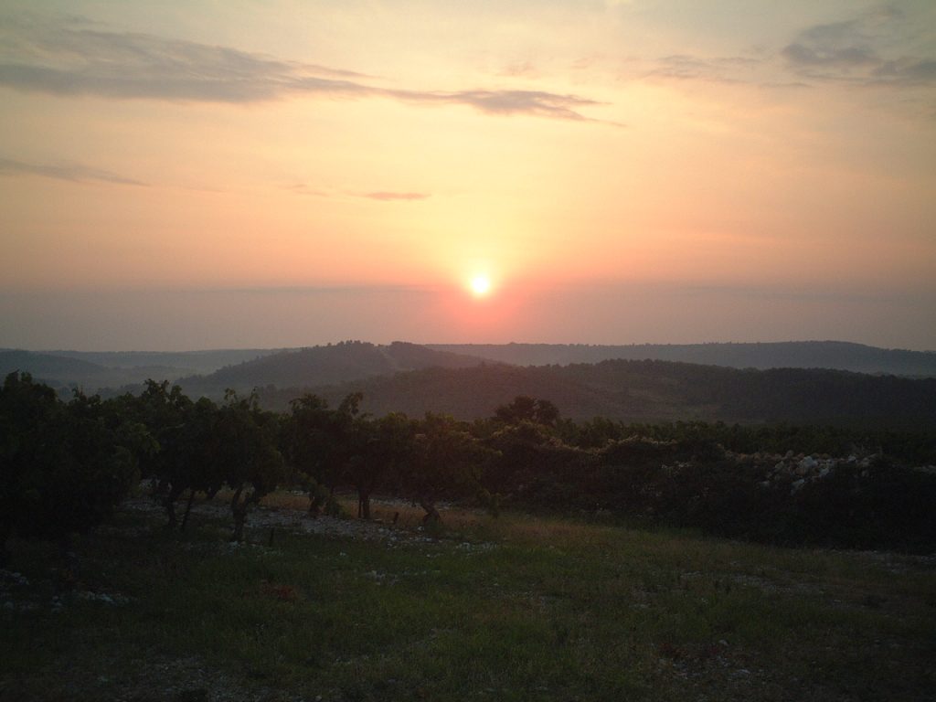 Weinberg der Domaine Montlobre in Corbieres, Südfrankreich