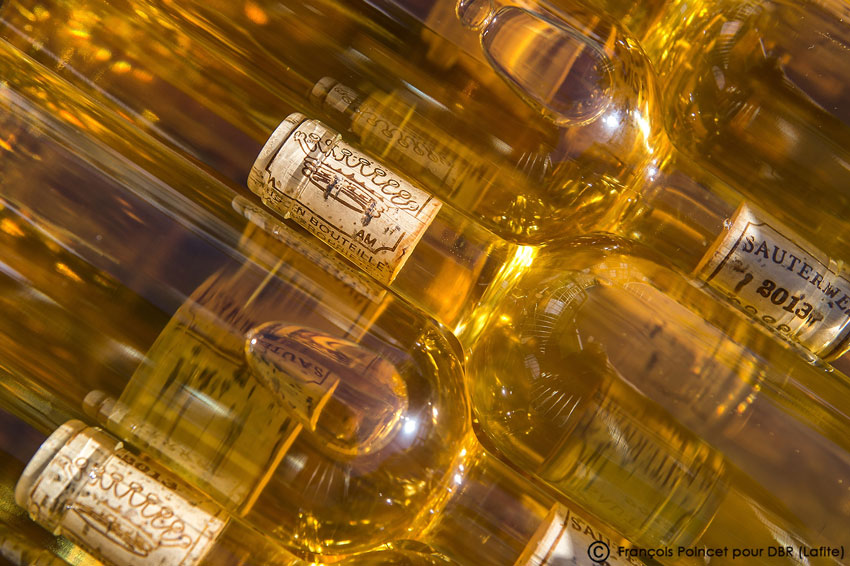 Einer der berühmtesten Süßweine der Welt ist jener aus Sauternes von Châeau Rieussec