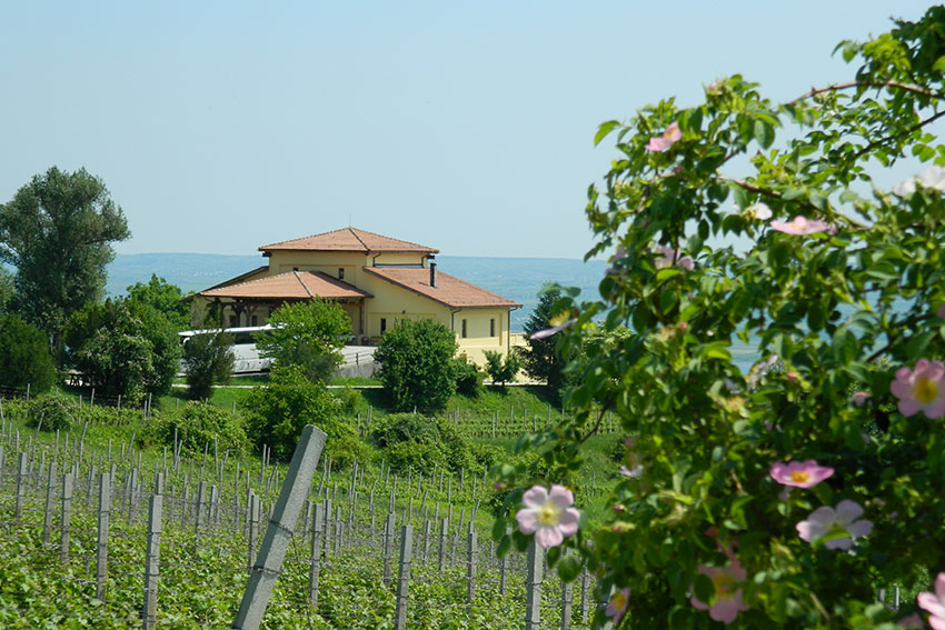 Weingut Prince Stirbey in Rumänien