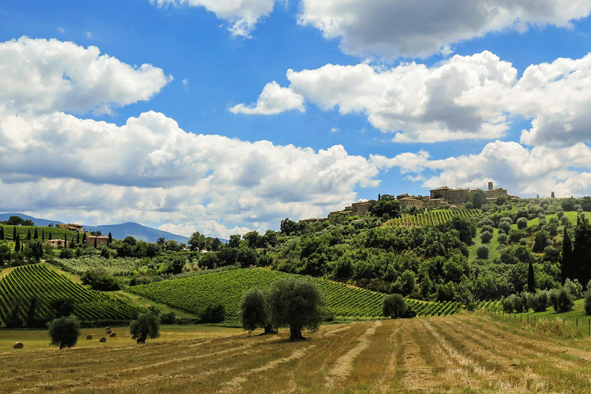 Landschaft Toskana mit vielen Hügeln und Weingärten.