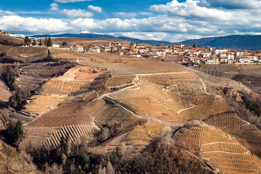 Auch in der kalten Jahreszeit ein herrlicher Anblick: die Weinlagen im Trentino.