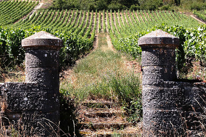 Im Burgund sind einige traditionelle Weinhäuser vertreten, die auf eine lange Geschichte zurückblicken können.