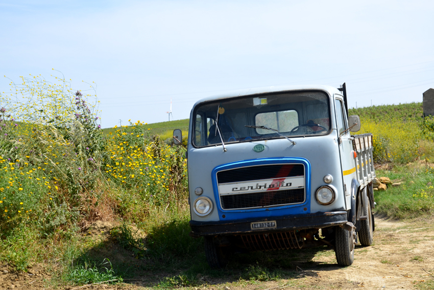 Weinberge Sizilien mit einem kleinen italienischen Lastwagen.