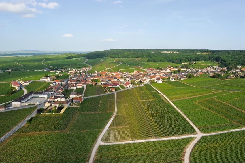 Weinberge rund um das Champagnerhaus Mailly.