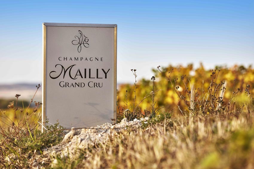 Feld mit Schild von Mailly Champagne