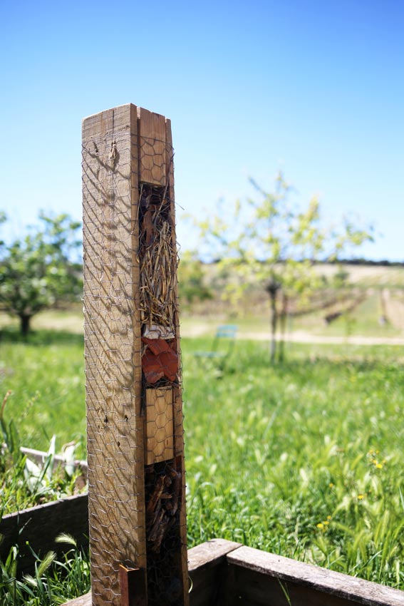 Insektenhotel in den Weingärten der Domaine Montlobre.