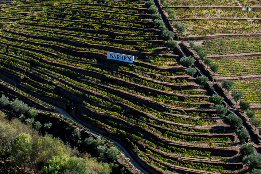 Weinberg für die Basisweine der Ports der Marke Warre's.