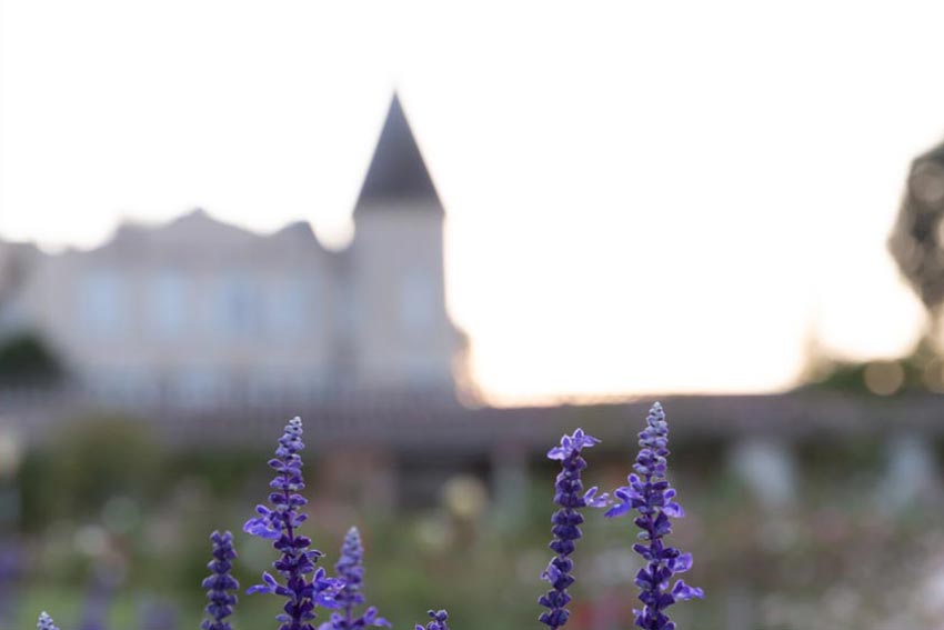 Château Lafite Rothschild