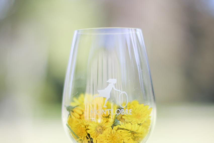 ein Glas mit Montlobre-Logo und gelben Blüten im Glas