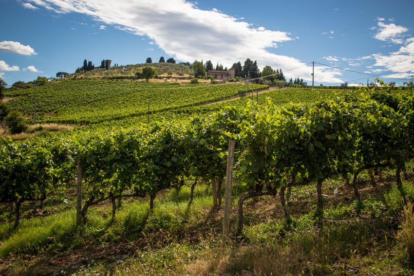 Das Weingut Vicchiomaggio auf einem Hügel in Greve
