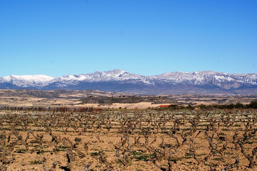 La Rioja - spanische Weinbauregion