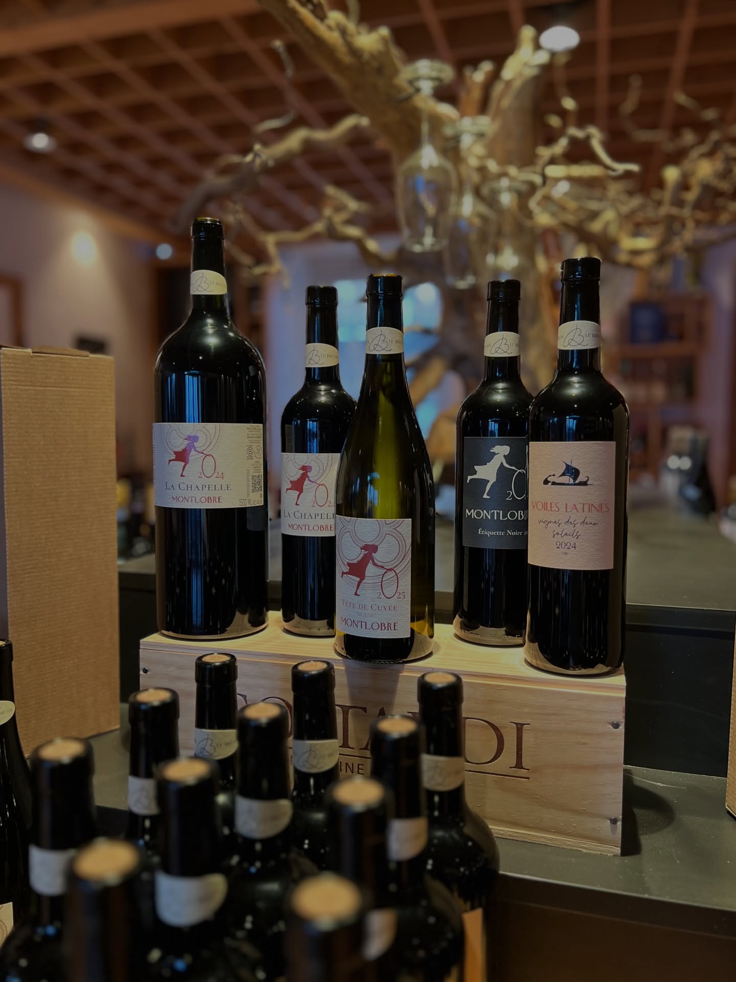 Neue Jahrgänge. Gleiche Liebe zu Montlobre. 🔥🍷schon entdeckt? 

#lachapelle #weinliebe #gottardi #gottardifeineweine