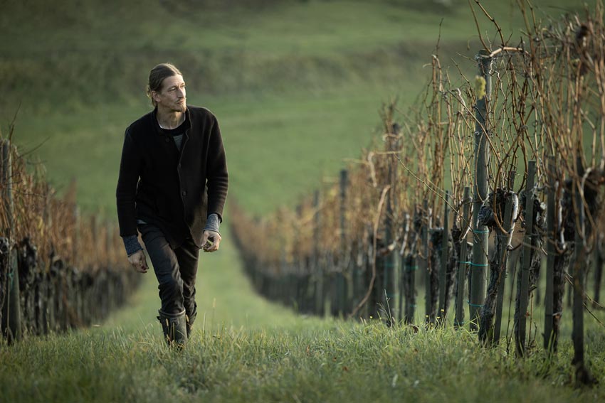 Winzer Reinhard Muster geht durch seine Weinberge